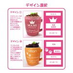 画像3: 【名入れ マグカップ】カフェオレみたいなタオル付♪かわいいデザインは全部で5種類 お名前 記念日 メッセージ 彫刻無料！お誕生日・記念日に・・世界でひとつのマグカップ製作します ピンク・ブルー・グリーン・オレンジ (3)